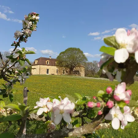 Domaine De La Chouette Couze-et-Saint-Front