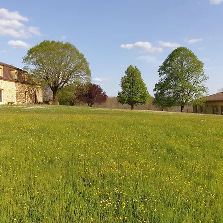 Domaine De La Chouette *